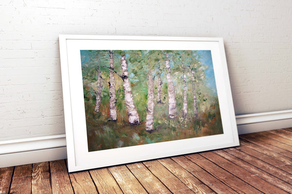Birch trees in Summer - oil painting 20" x 24", sold without a frame